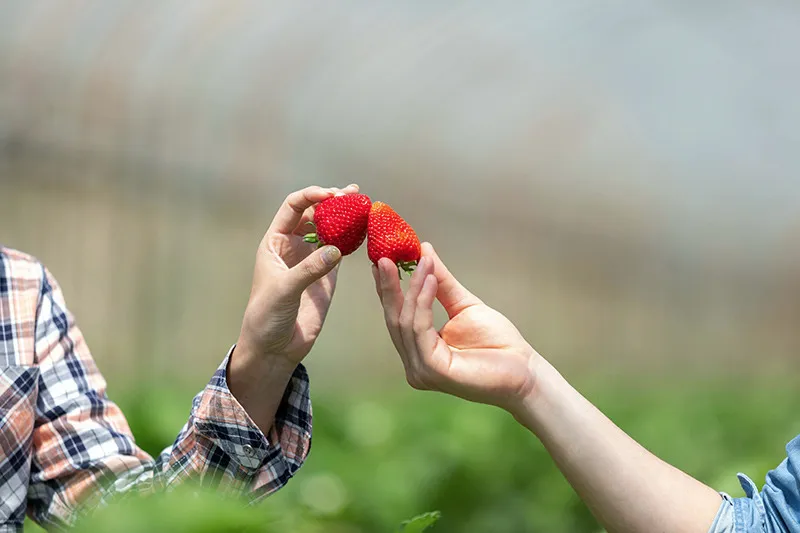 福利厚生倶楽部(リロクラブ)
