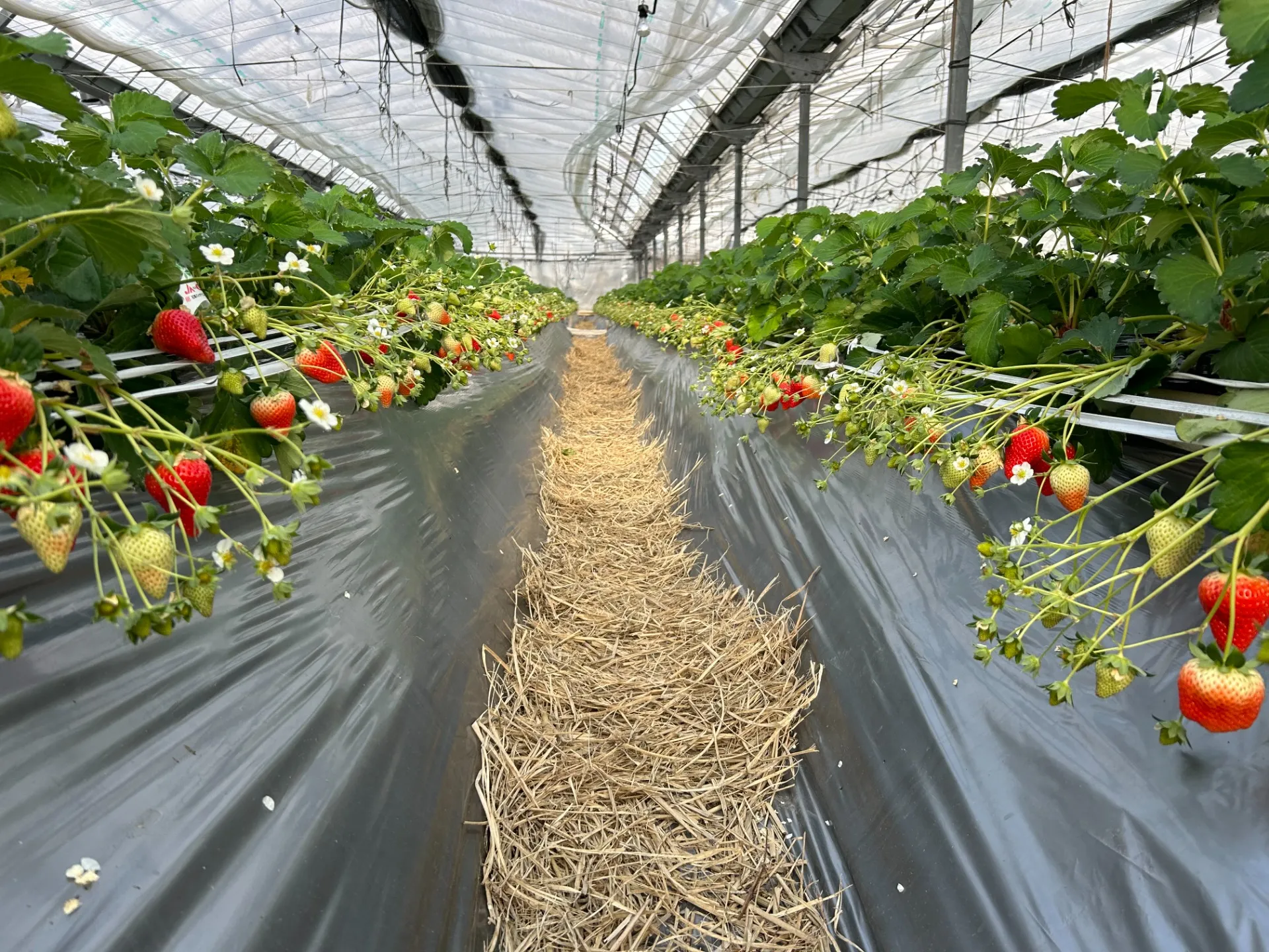 有限会社ハートヘルスファーム