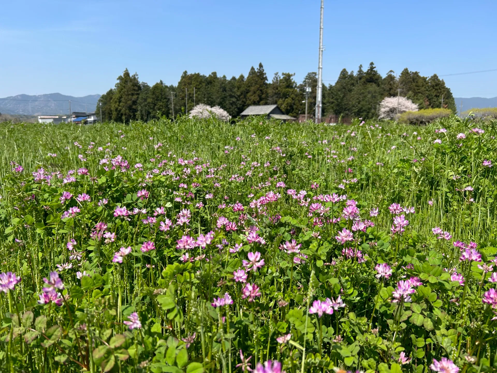 有限会社ハートヘルスファーム