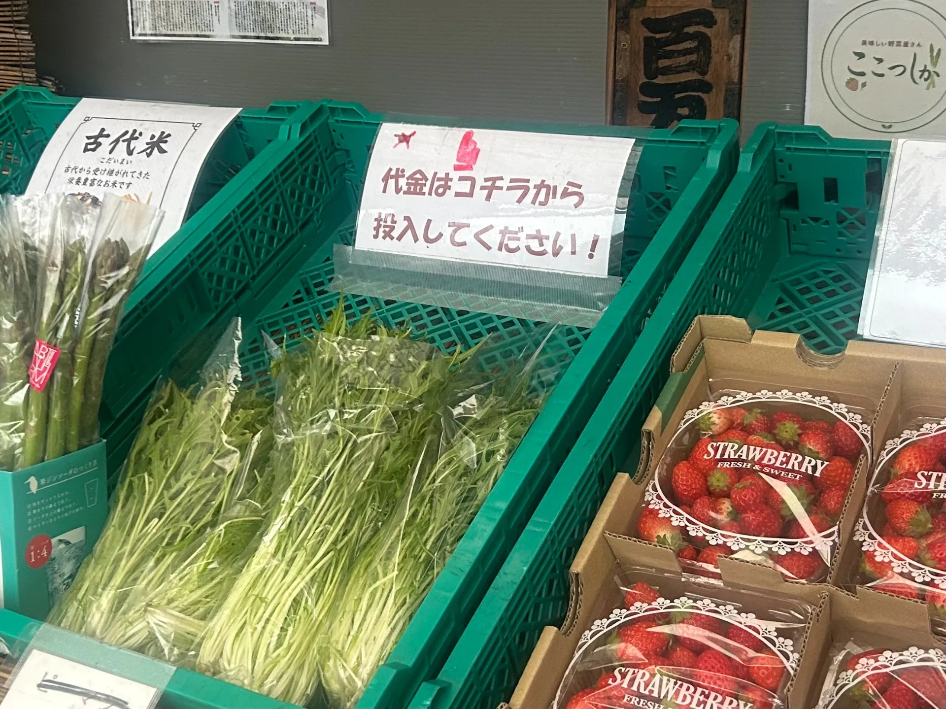 野菜直売所で街の旬と農家の工夫を発見する楽しみ方