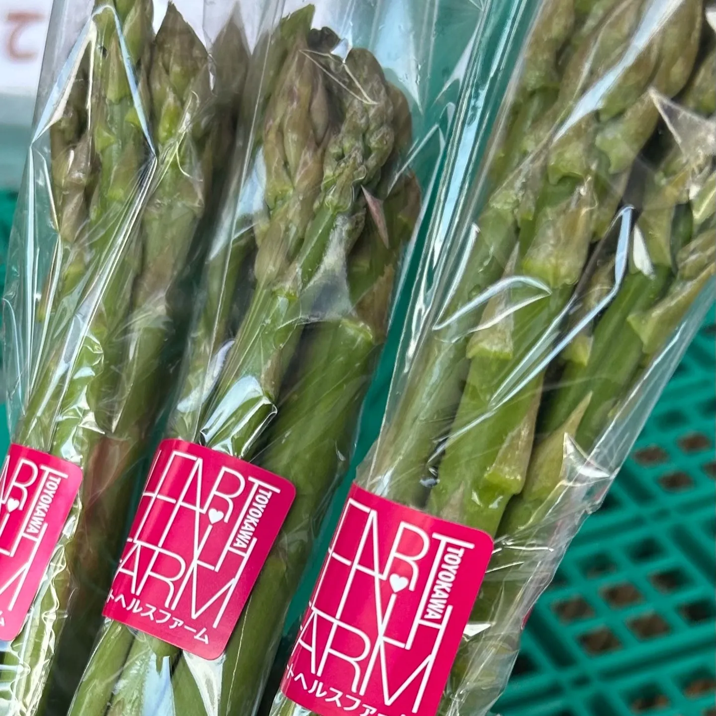 朝日が差し込む爽やかな空気の下、まだ静かな農園で真っ赤に熟し...