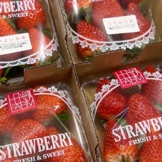 清々しい青空の下、農場ではたくさんの新鮮な野菜がしっかりと育...