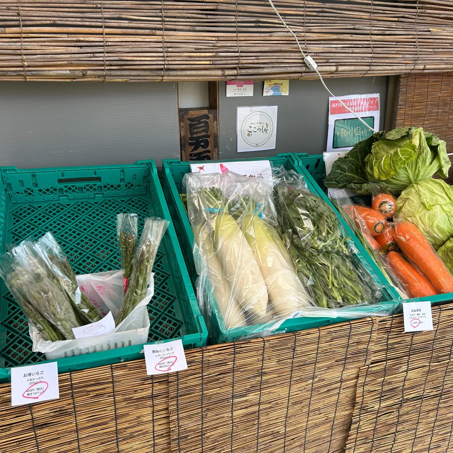 清々しい青空の下、農場ではたくさんの新鮮な野菜がしっかりと育...