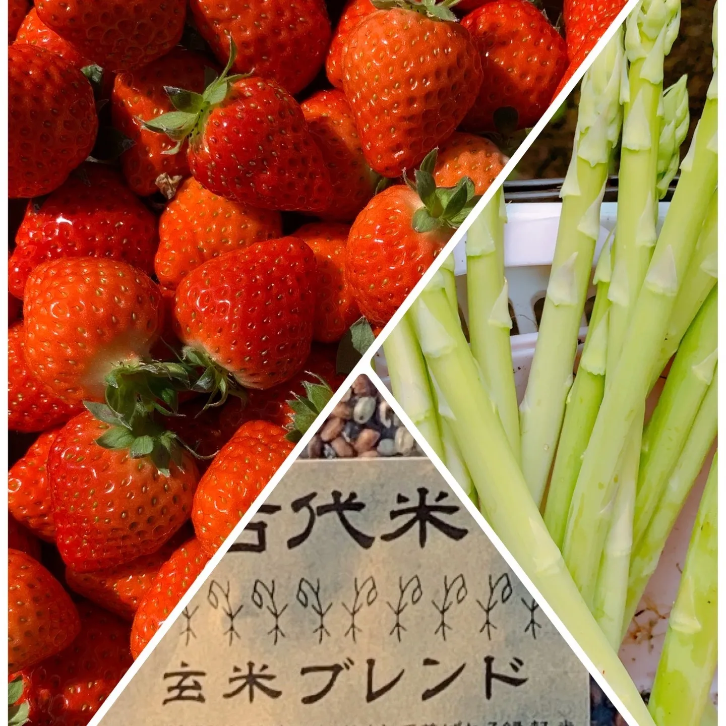 昨夜の雨は久しぶりの恵みでした。