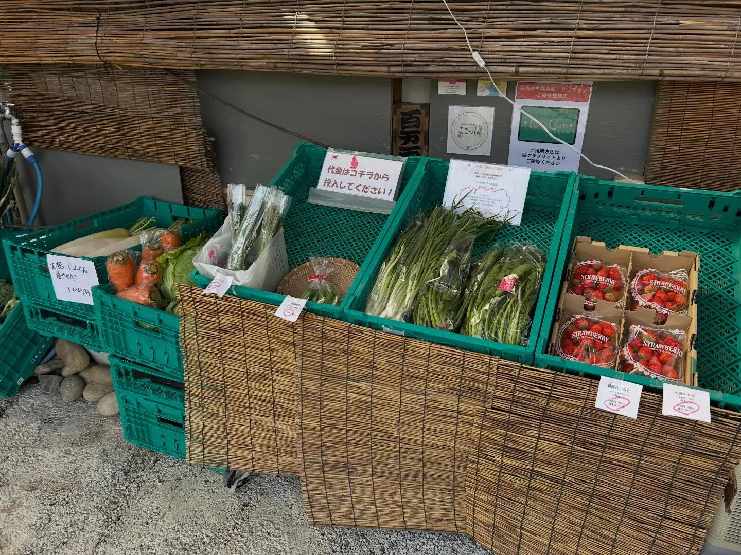 今日も新鮮な地元の採れたて野菜をご用意しております。