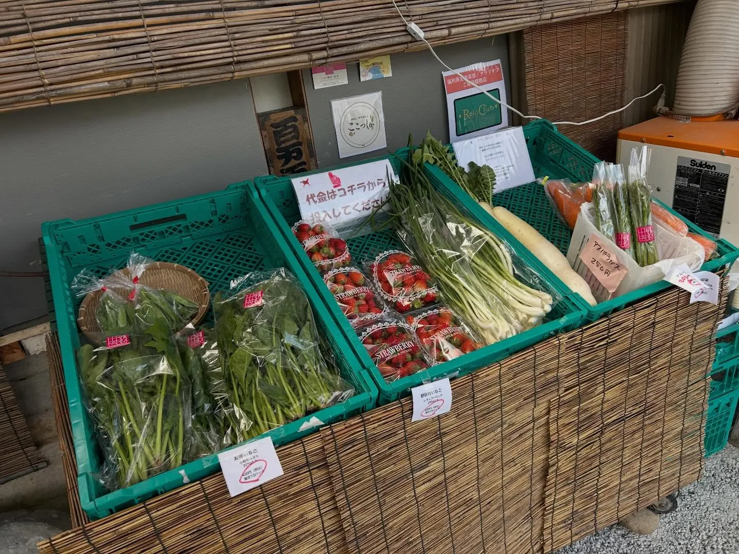 今日も新鮮な地元の採れたて野菜をご用意しております。
