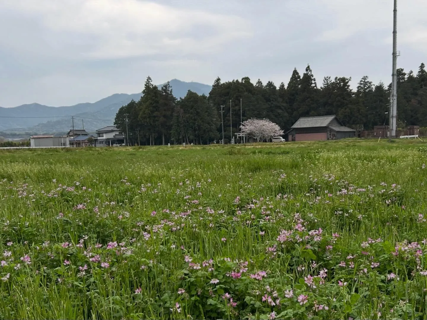 おはようございます♪