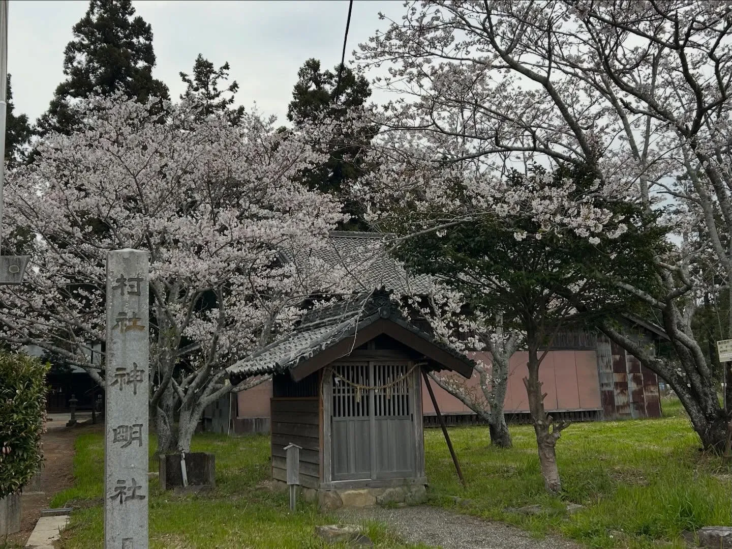 おはようございます♪