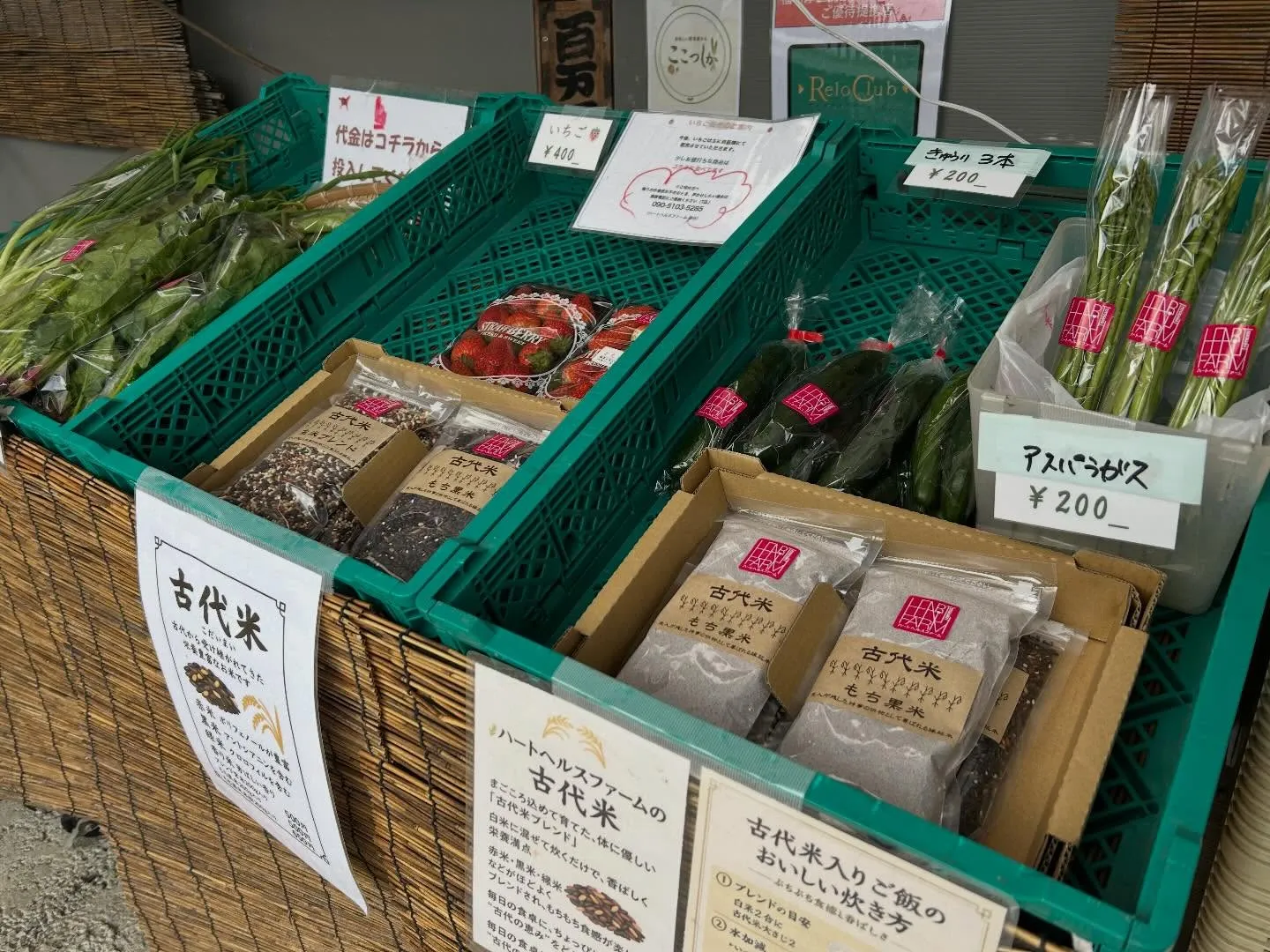 おはようございます♪